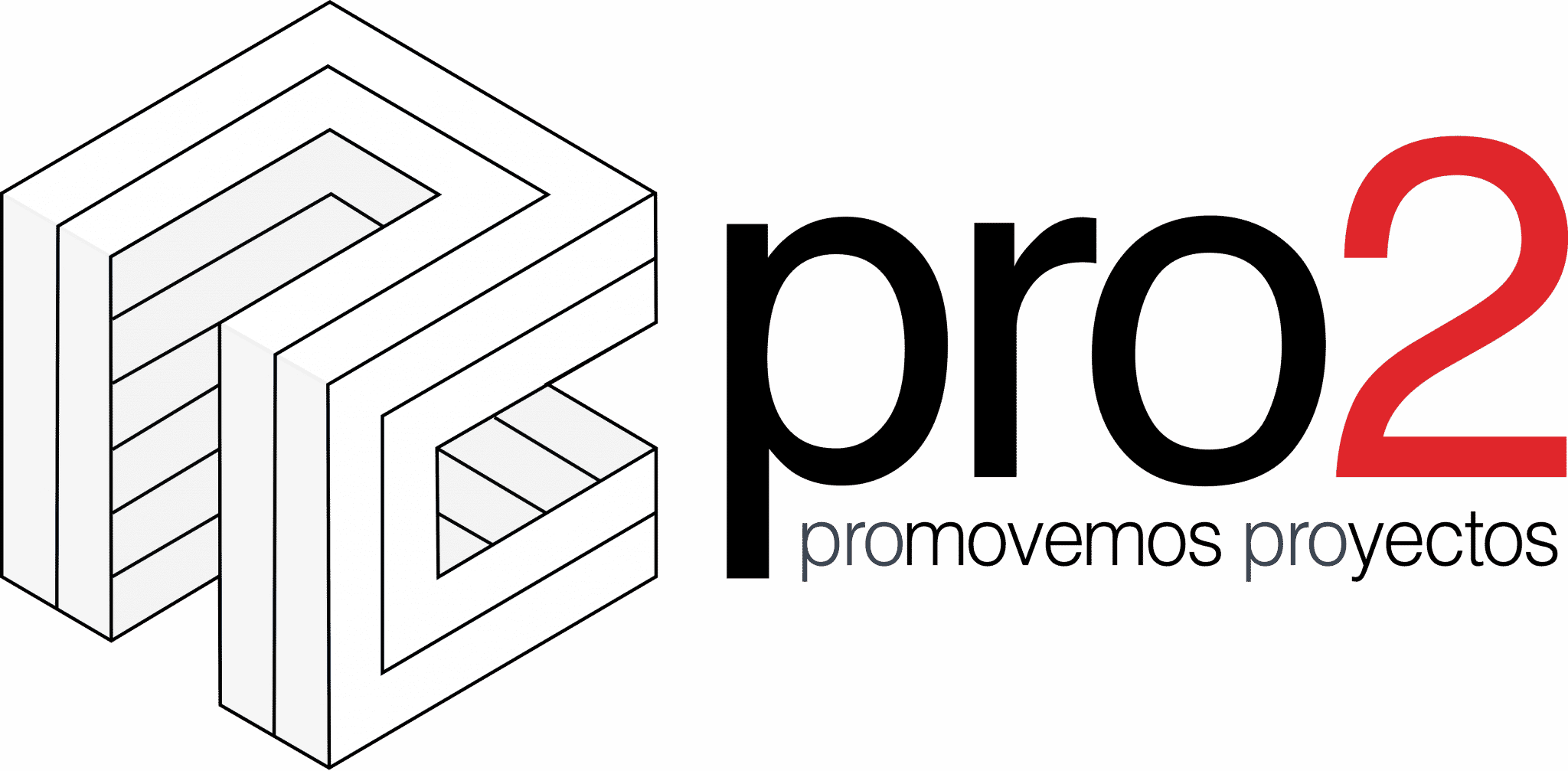 Logo Nuevo 2022 Pro2 - Color